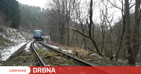 Vlak na Spálově narazil do stromu Provoz na trati byl obnoven Krimi