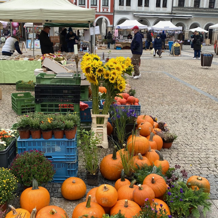 Dýňová neděle před radnicí
