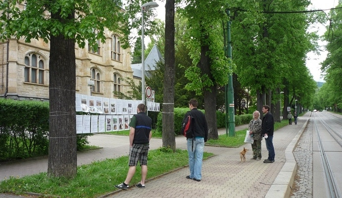 Výstava mezi stromy. Autor: Magistrát