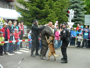 Den s městskou policií. Foto: Karel Došek