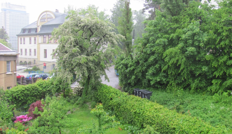 Vytrvalý déšť stále neustává.