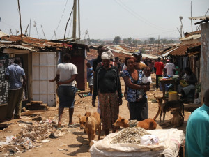 Kibera, Keňa