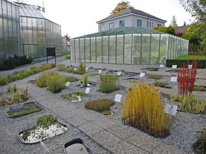 Takhle bude nový pavilon vypadat. Foto: Magistrát