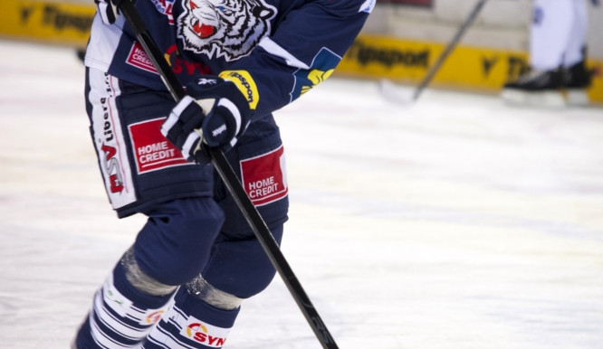 Petr Nedvěd. Foto: Bílí Tygři