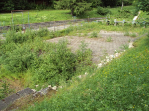 Vana bazénu zarůstá