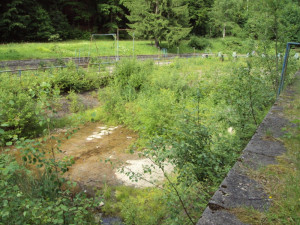 Tady už se koupat nedá