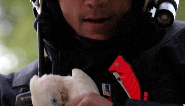 Papoušek. Foto: David Modrý