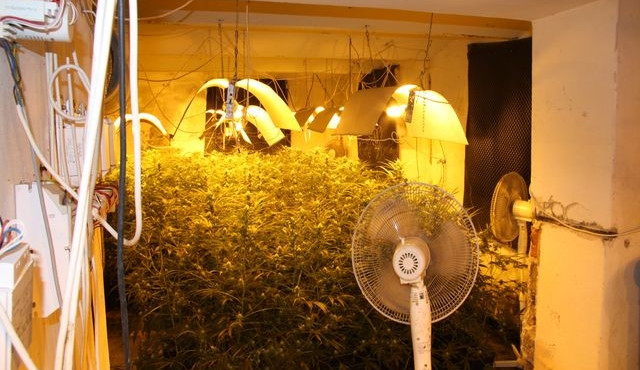 Pěstírna konopí. Foto: Policie ČR