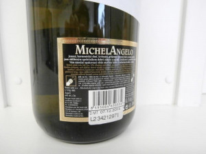 Michelangelo. Foto: SZPI