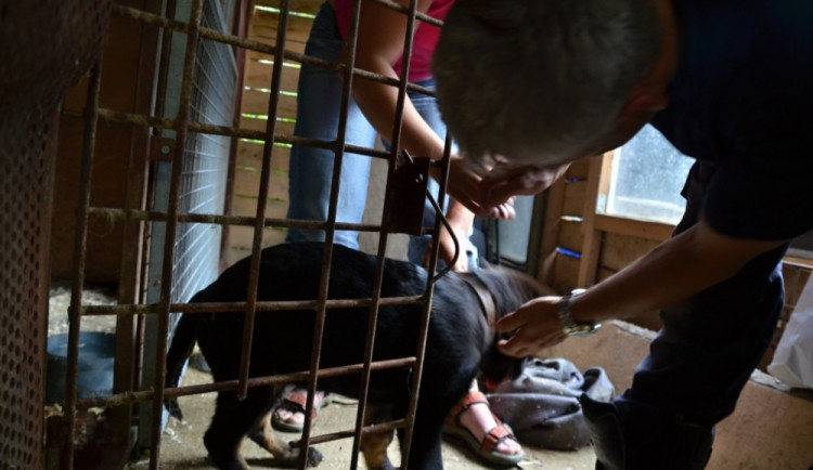 Fantom strkal hlavu, kam neměl. A uvízl