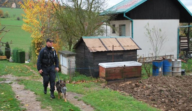 Policie. Ilustrační foto: Policie ČR