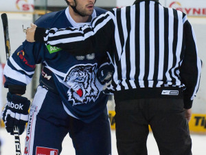 Bílí Tygři proti TPS Turku. Foto: Jaroslav Appeltauer