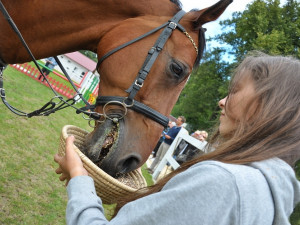 Memoriál Heleny Krásové - O pohár města Liberce. Foto: MML/Jan Král