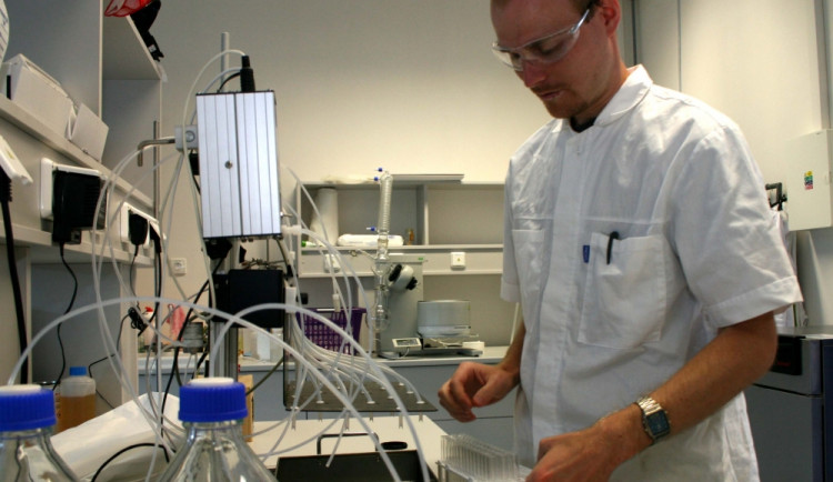 Chcete na vysokou? Vyzkoušejte si studium nanečisto