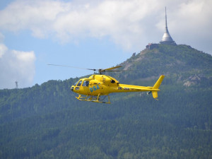 Děti pobodal na Frýdlantsku vosí roj. Zasahovat musel vrtulník