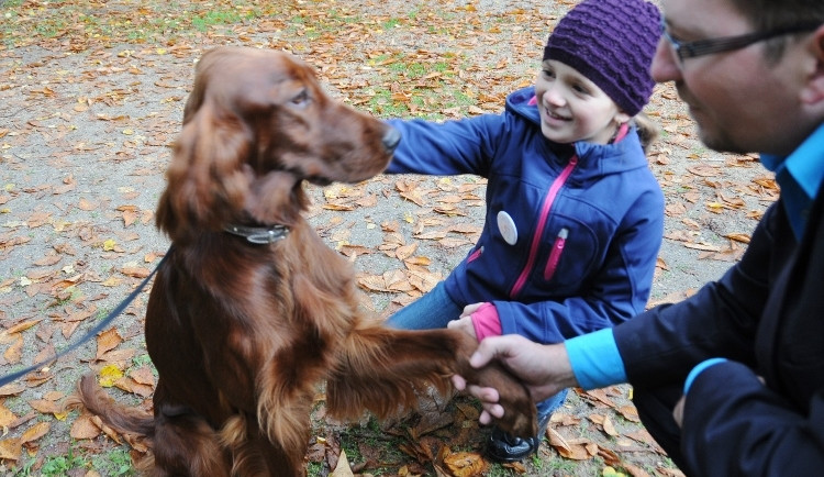 Podještědská výstava psů.