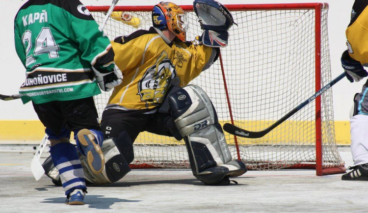 Ve žlutém liberecké Vosy