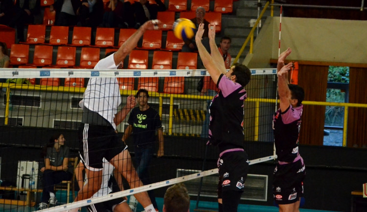 Kocouři ovládli turnaj v Liberci, Dukla skončila čtvrtá