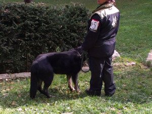 Soutěž v Pavlovicích