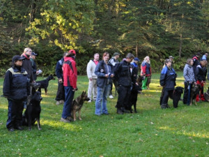 Soutěž v Pavlovicích