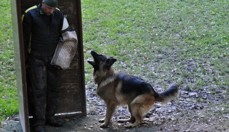 Soutěž v Pavlovicích