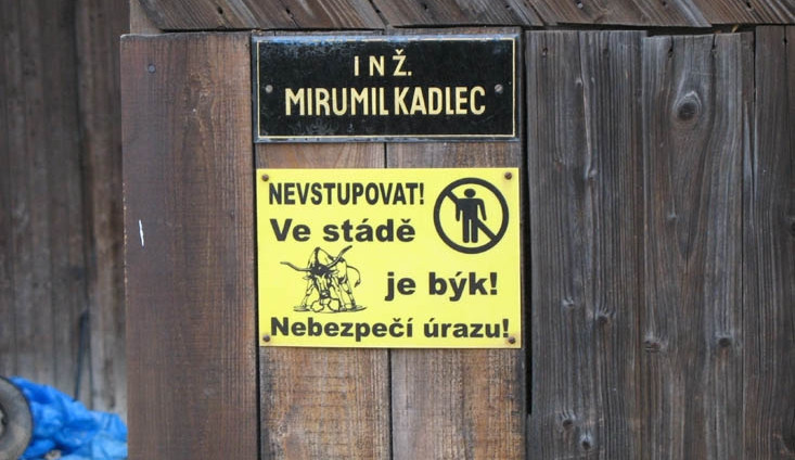 Zloději se evidentně tunového zvířete nebáli. Ilustrační foto: Lukabike.cz