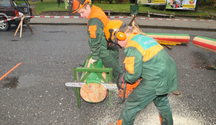 Hejnický dřevorubec 2013