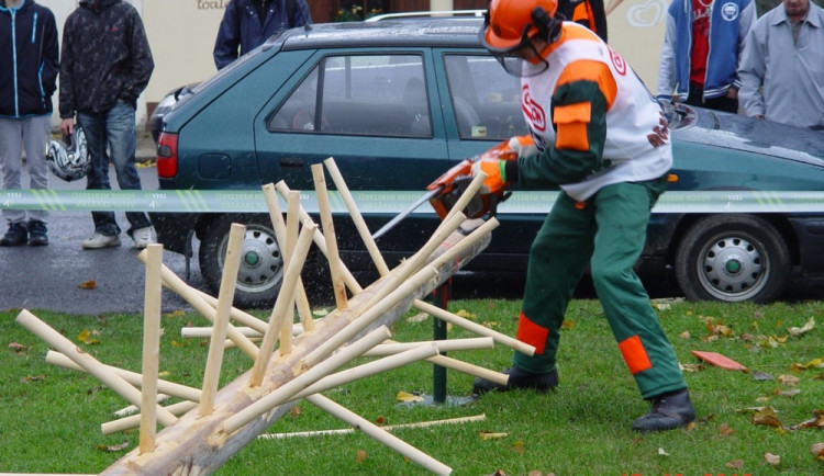 Hejnický dřevorubec 2013. Foto: Jiří Langer