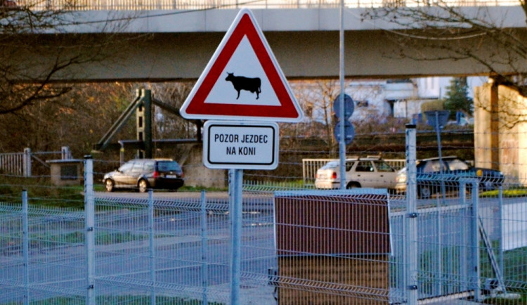 Pozor, jde za námi kůň.