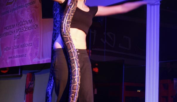 Titul Miss VŠTE získala dívka s třímetrovou krajtou