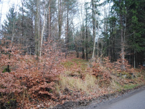 Ze silnice vede k výšině nenápadná pěšina. Teď na podzim, ale je vidět obelisk