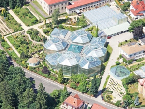 V botance vyroste pavilon leknínů