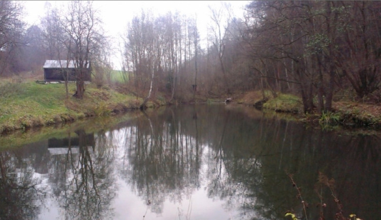 Hellerův rybník. Foto: rybáři Český Dub