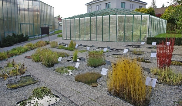 Pavilon leknínů je také v IPRM. Foto: MML