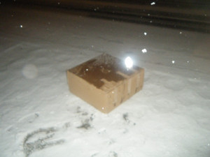 Hlídka městské policie našla zavřenou kartónovou krabici, ve které byla dvě prochladlá koťátka