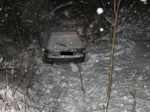 Audi zapíchl mezi stromy. Řidiči měl do cesty vběhnout pes