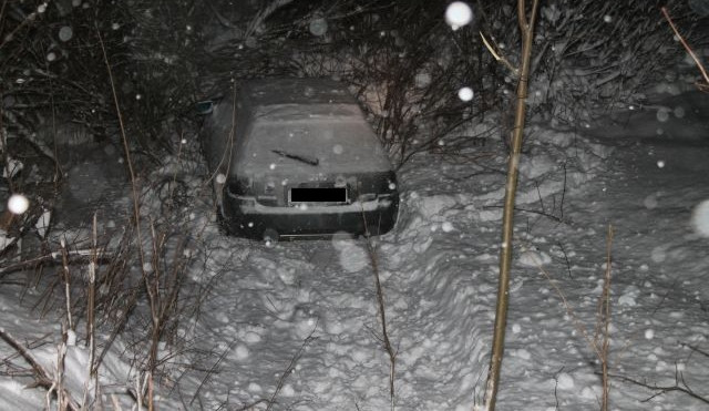 Audi skončila zapíchnutá mezi stromky. Foto: Policie ČR