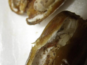 Balení kontaminovaných datlí. Foto: SZPI