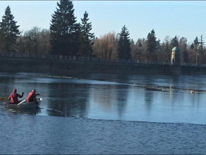 Srnka propadla ledem do přehrady. Foto: HZSLK