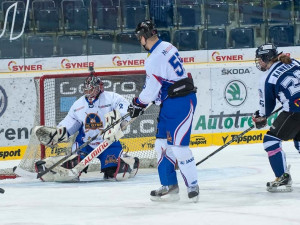 Bílé Tygřice se týmu Martina Dejdara nezalekly. Foto: Jaroslav Appeltauer