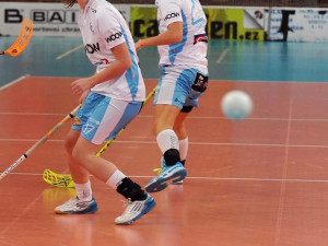 Nepovedený konec roku pro Crazyny. Foto: Jaroslav Appeltauer