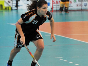 Nepovedený konec roku pro Crazyny. Foto: Jaroslav Appeltauer