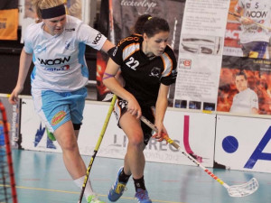 Nepovedený konec roku pro Crazyny. Foto: Jaroslav Appeltauer