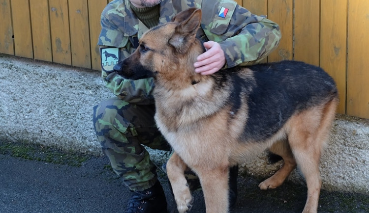 Athos i se svým psovodem Rostislavem Bartončíkem. Foto: Jiří Langer