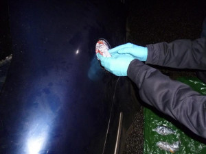 Tablety našli celníci pod víčkem nádrže. Foto: Celní správa