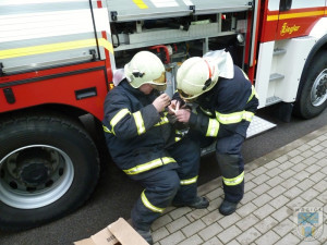 Kosáka vysvobodili ze sevření provázku až hasiči. Foto: Hasiči Hrádek nad Nisou