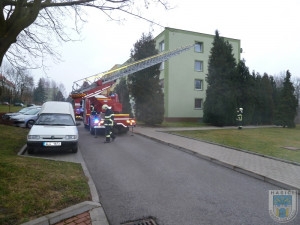 Kosáka vysvobodili ze sevření provázku až hasiči. Foto: Hasiči Hrádek nad Nisou