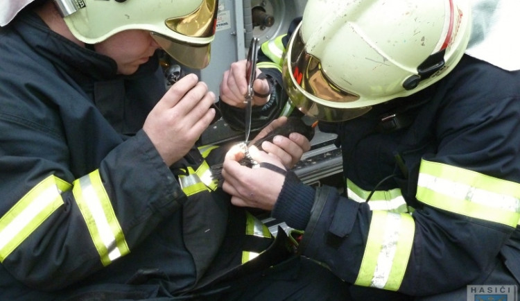 Kosáka vysvobodili ze sevření provázku až hasiči. Foto: Hasiči Hrádek nad Nisou