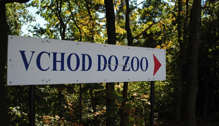 Máte doma jedničkáře? Za vysvědčení může do ZOO zadarmo