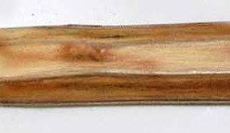 Nechcete koupit kolík na zabíjení upírů? Prý jsou všude kolem